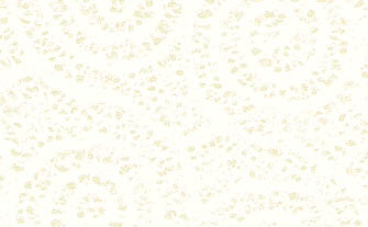 JPEG image